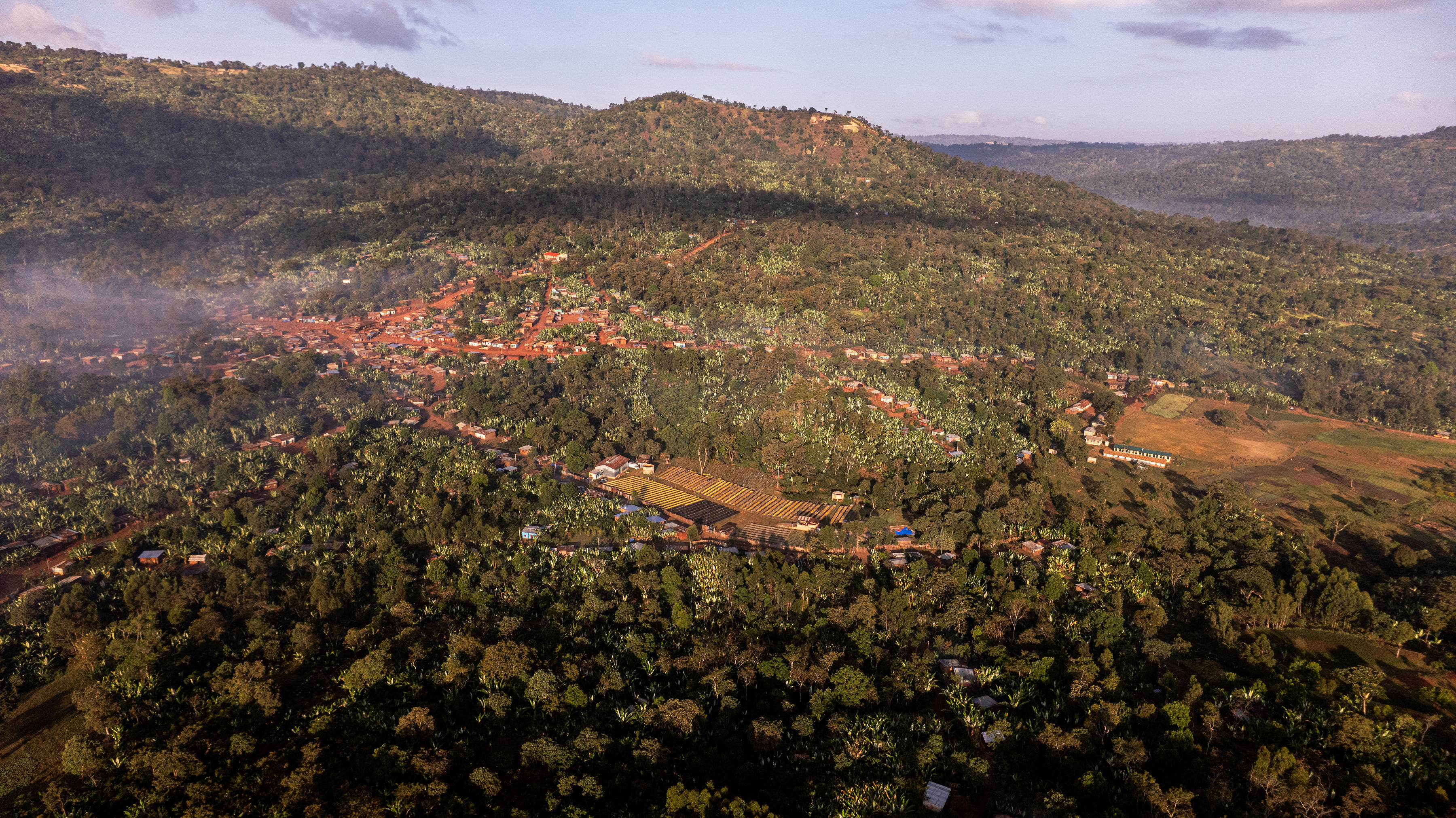 Yirgacheffe Gedeb coffee origin