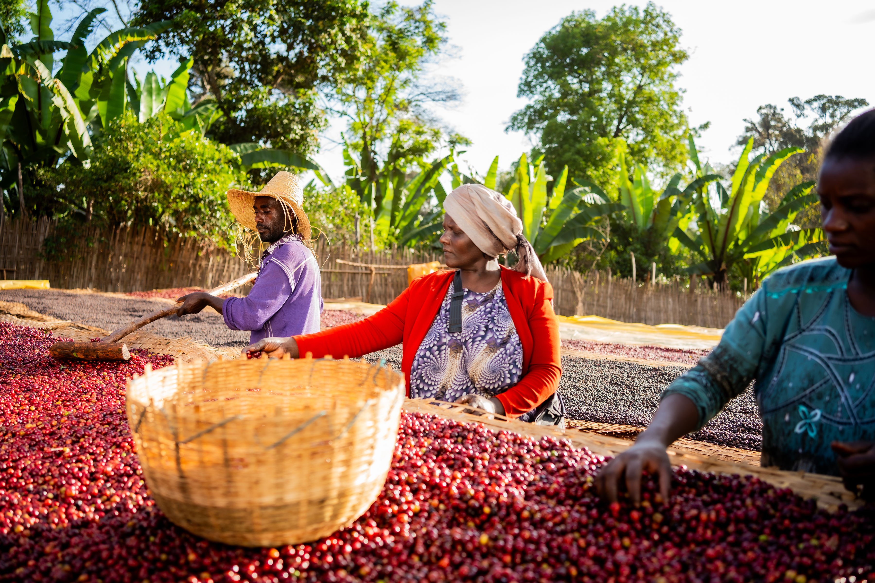 Guji Hambella Benti Nenka Station